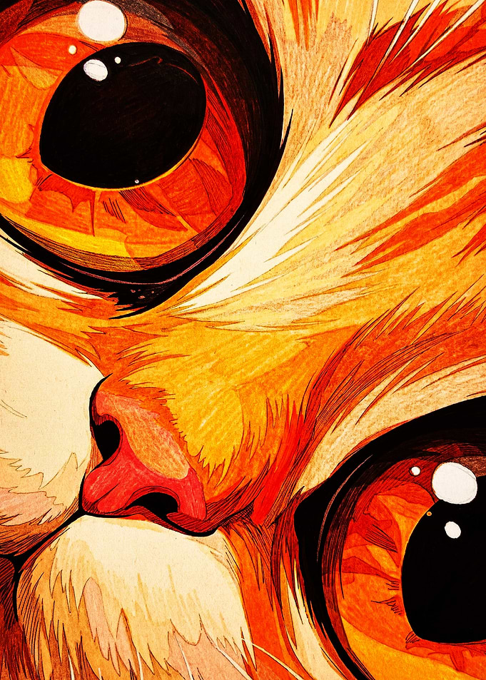 Close-up Portrait of an Orange Cat