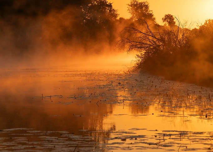 Golden Sunrise Over Misty River