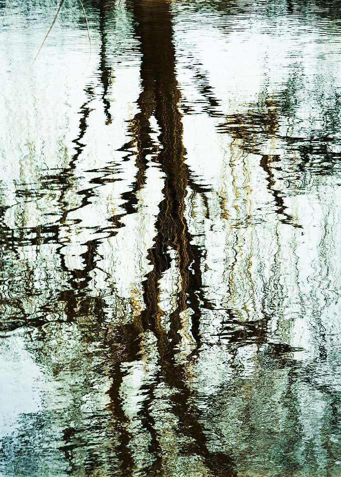 Abstract Tree Reflection in Water
