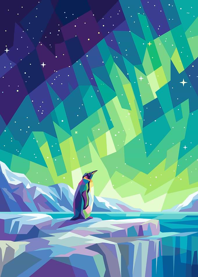 Geometric Penguin Under Northern Lights