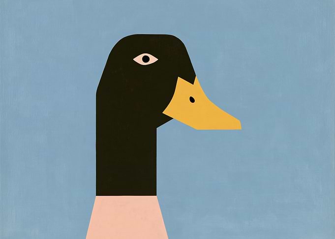 Minimalist Mallard Duck Portrait