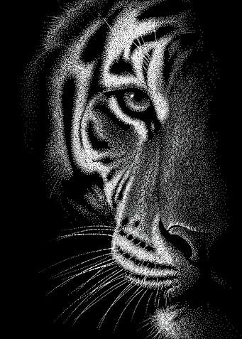 Detailed black and white tiger dotwork portrait