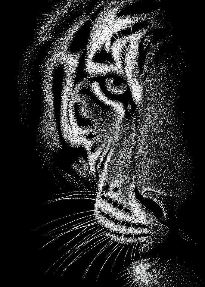 Detailed black and white tiger dotwork portrait