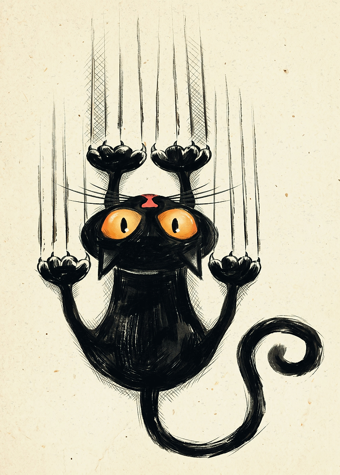Black Cat Sliding Down Wall Scratching