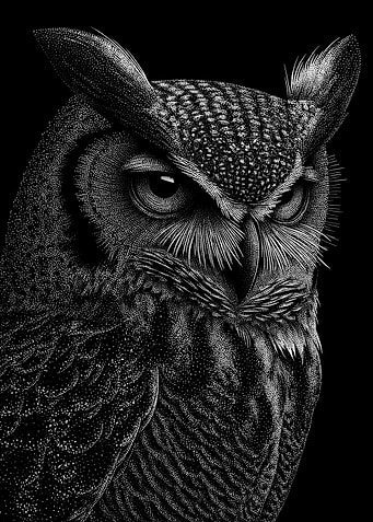 Detailed black and white dotwork owl portrait