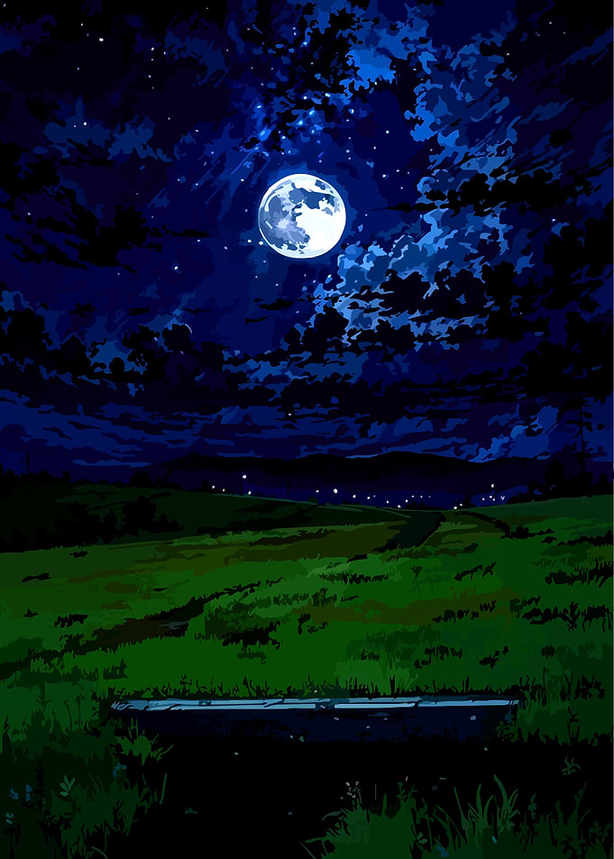 Full Moon Over Grassy Field