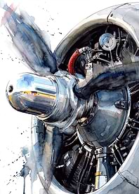 Wild Radial Engine
