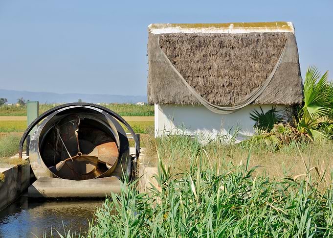 Irrigation Pump and Thatched Hut