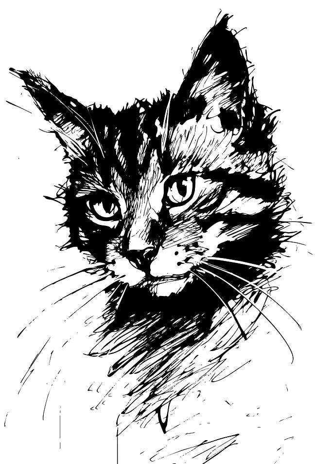 Black and White Ink Cat Portrait