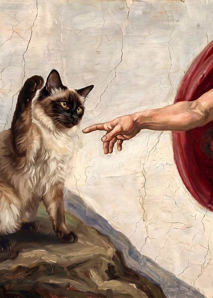 The Creation of Cat