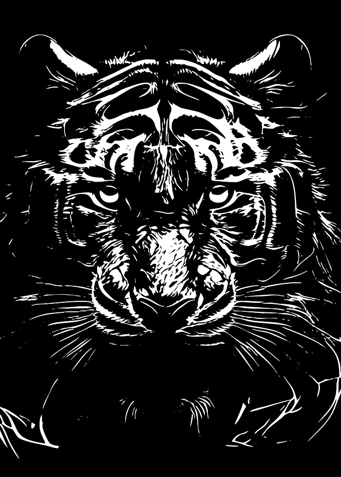 High Contrast Tiger Face Portrait