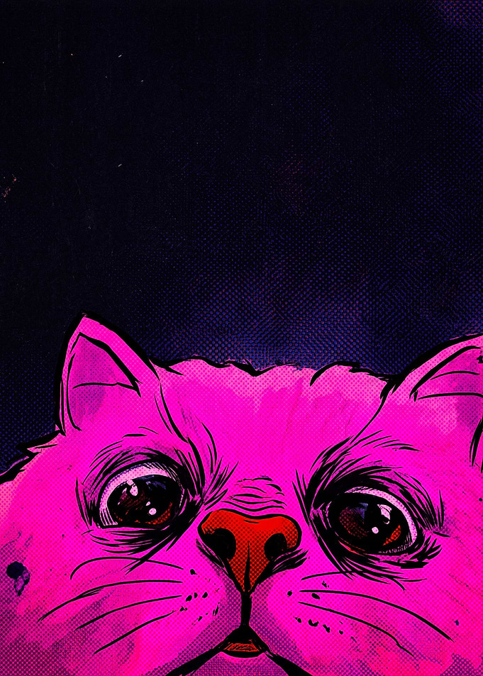 Vibrant Pink Cat Close-up Portrait