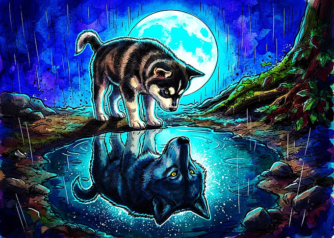 Wolf Puppy Reflecting as Adult Wolf