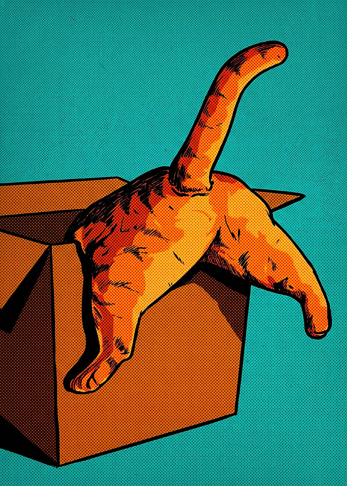 Orange Cat in a Cardboard Box