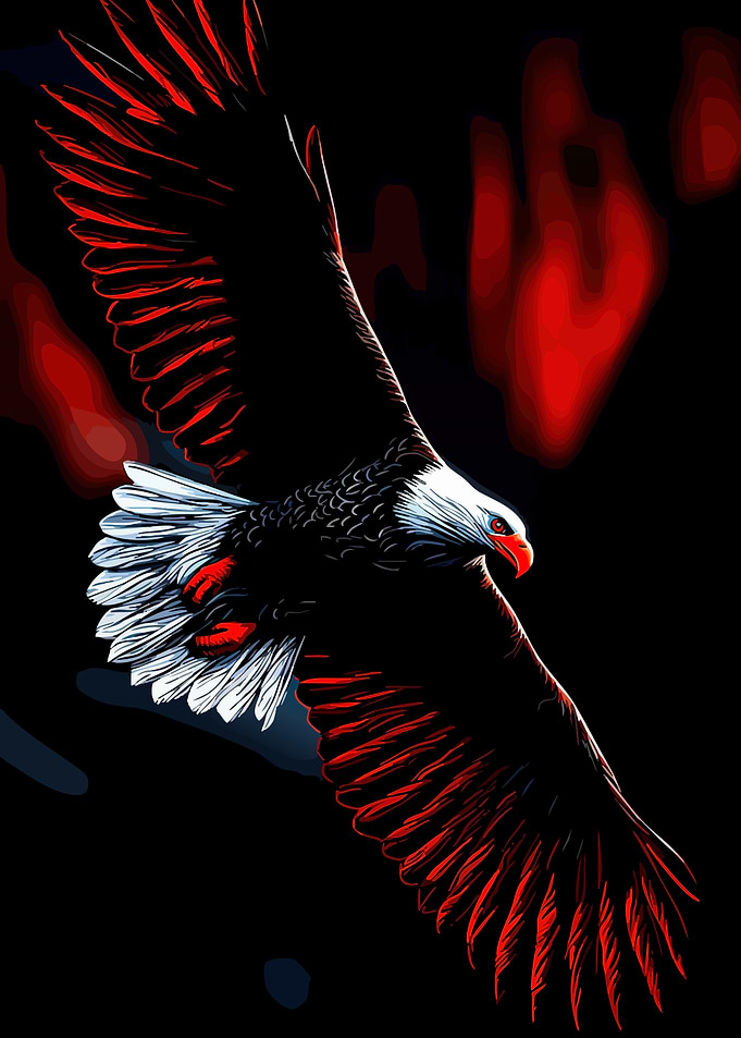 Soaring Bald Eagle in Red Light