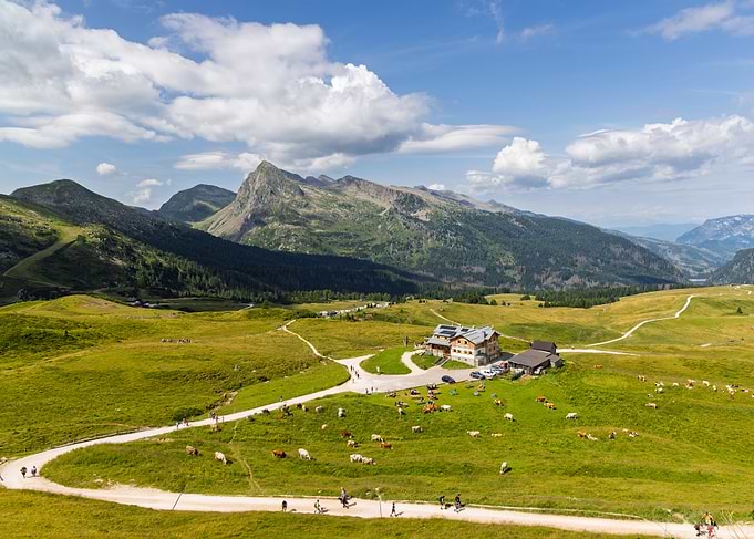Alpine Meadow with Mountain Lodge