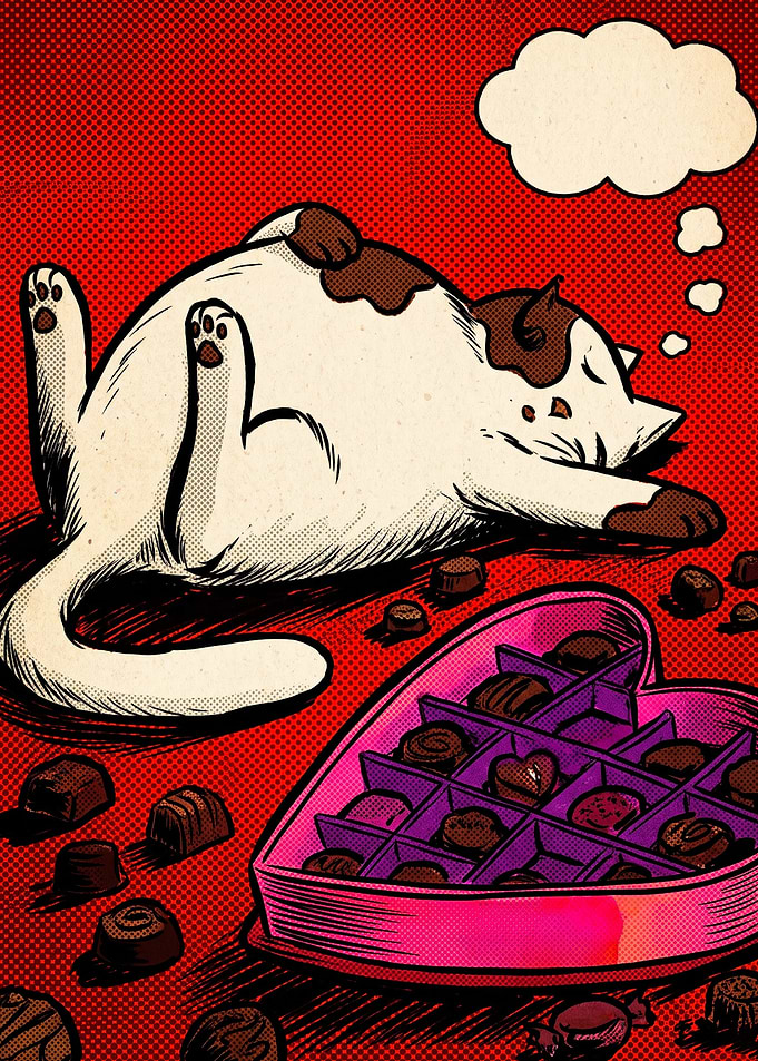 Fat Cat Eating Valentine Chocolates