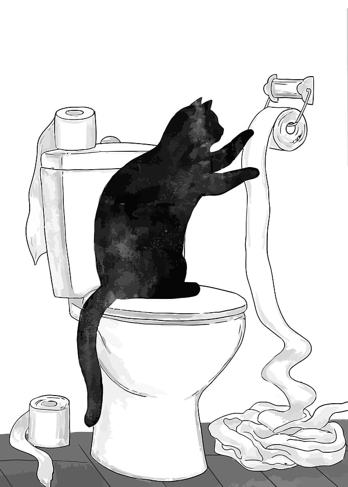 Black Cat Playing with Toilet Paper