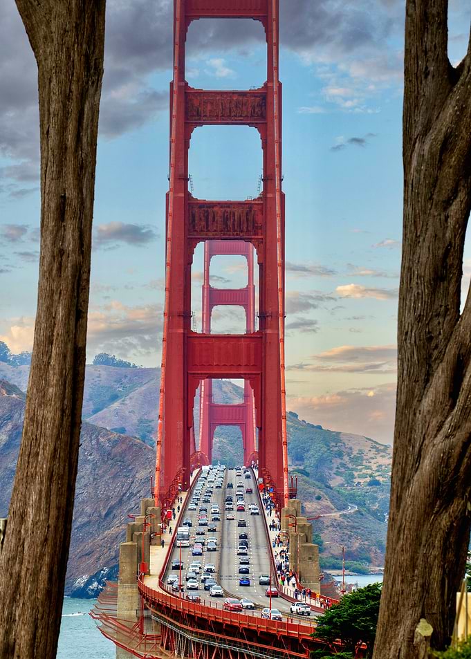 Golden Gate Bridge Framed by Trees