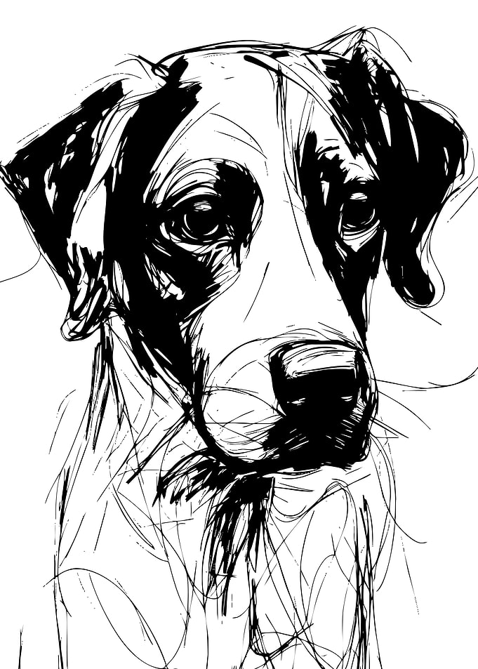 Expressive Scribble Art Dog Portrait