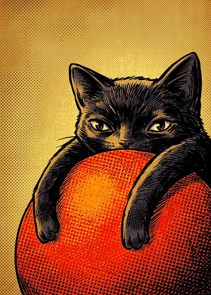 Black Cat Hugging Orange Ball