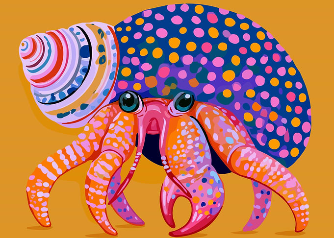 Colorful Artistic Hermit Crab Illustration