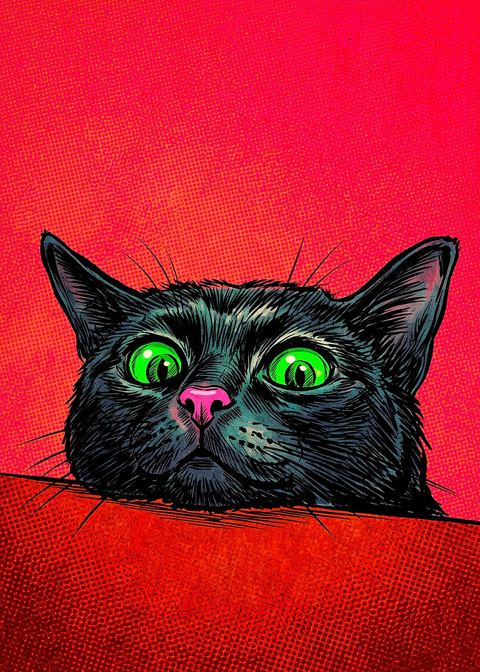 Pop Art Black Cat Illustration