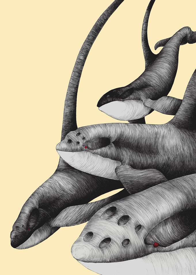 Surreal Ink Drawing of Whales
