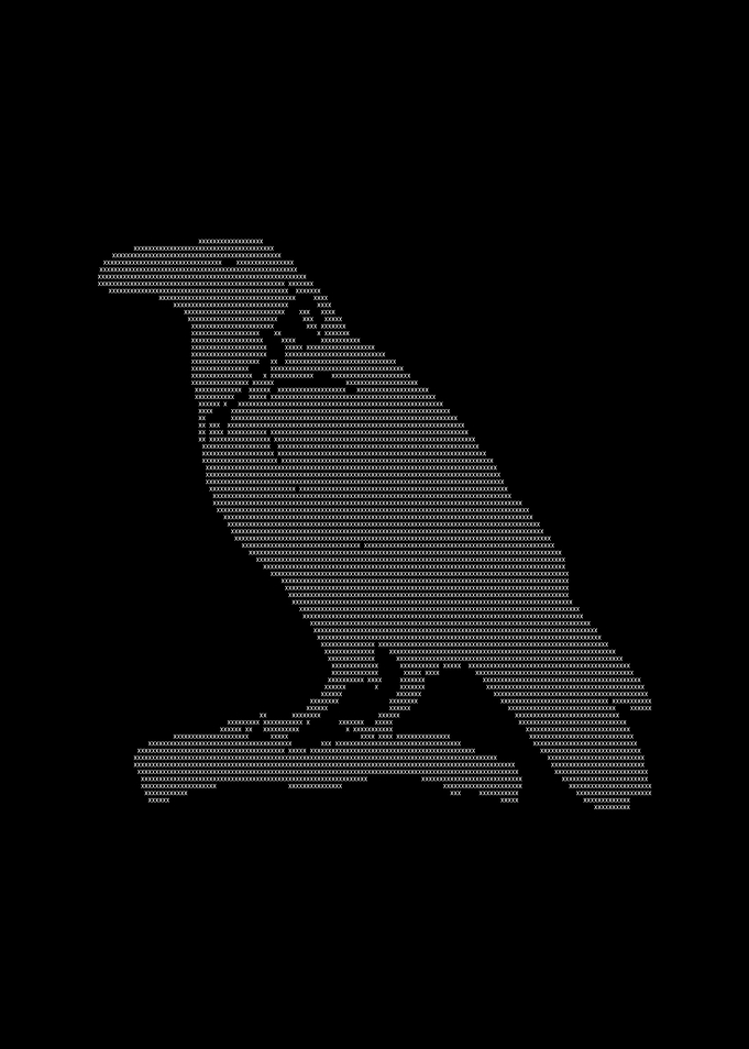 ASCII Art Raven Silhouette