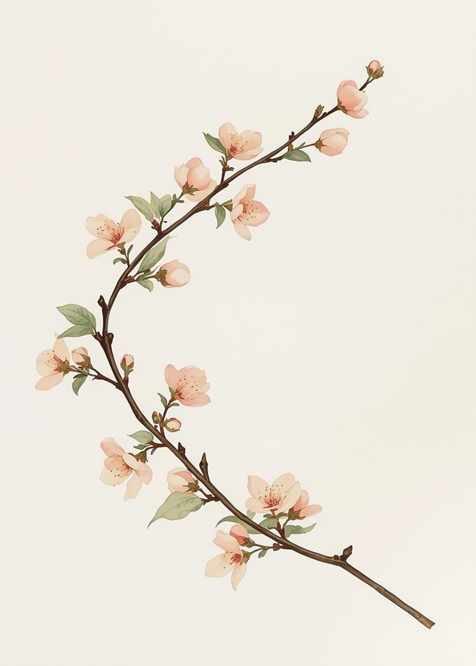 Delicate Pink Cherry Blossom Branch