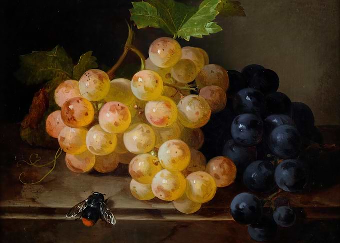 Still Life with Grapes and Bee