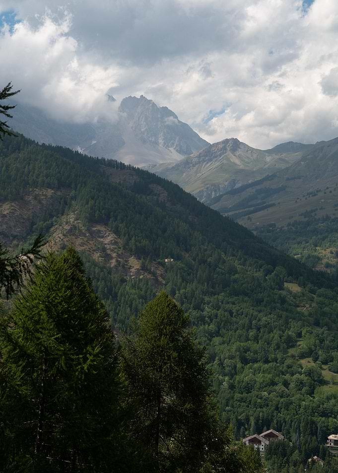 Mountain Landscape with Pine Forest in Italy, Piedmont