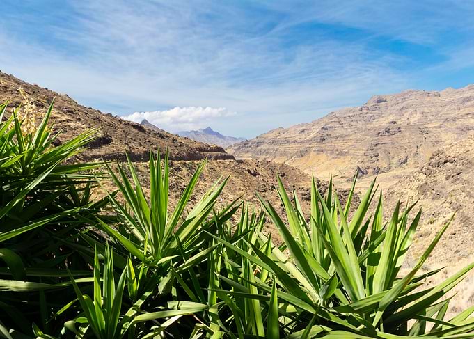 Grand Canary Mountain Landscape