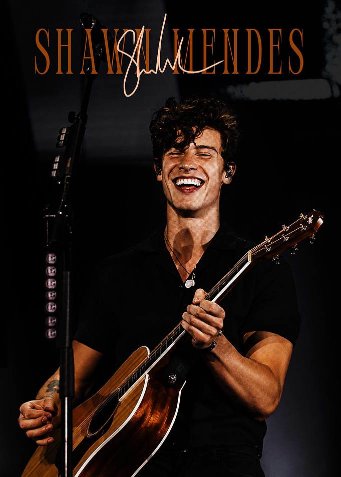 Shawn Mendes Performing Live