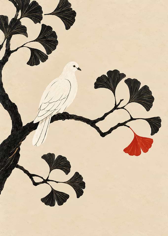 White Dove on Ginkgo Branch