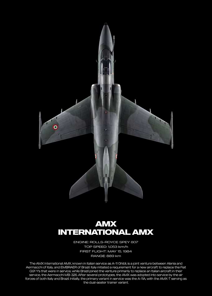 AMX International AMX Aircraft Profile