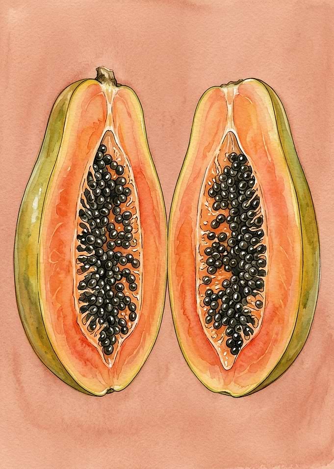 Watercolor Illustration of Sliced Papaya