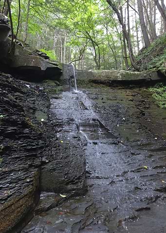 Small Waterfall in Lush Forest