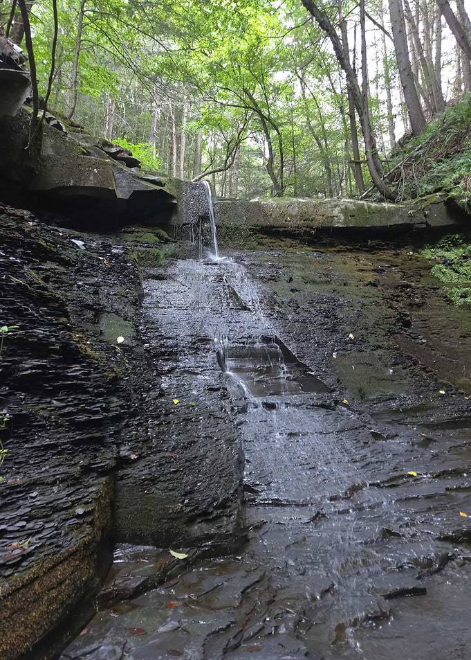 Small Waterfall in Lush Forest