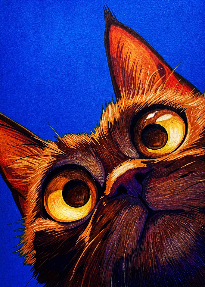 Close-up Portrait of a Curious Cat