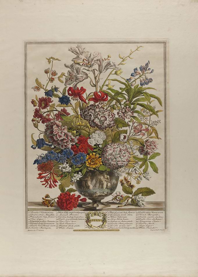 Vintage Botanical Print of July Flowers Bouquet