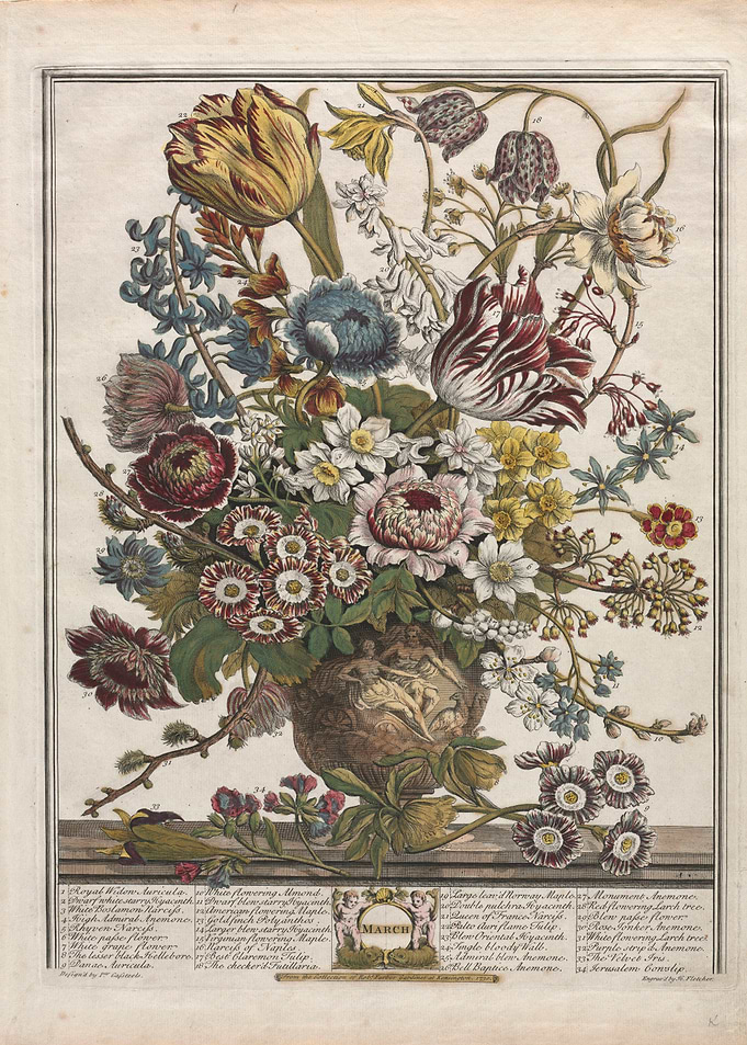Vintage Botanical Illustration of March Flowers Bouquet