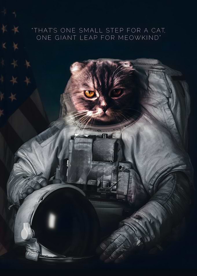 Astronaut Cat Space Exploration Poster