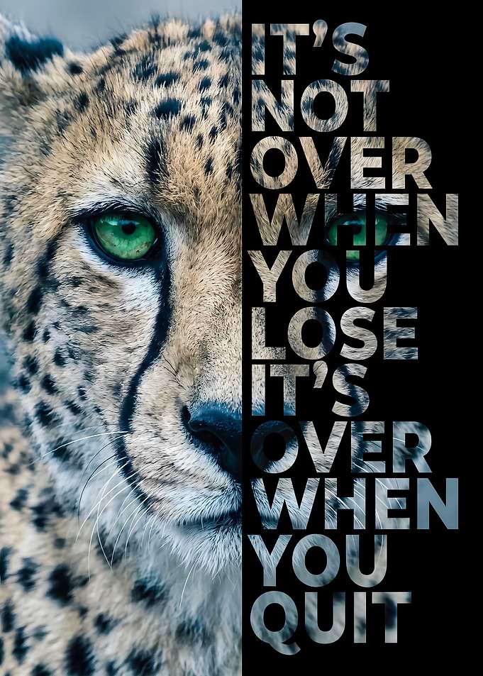 Inspirational Cheetah Motivational Poster