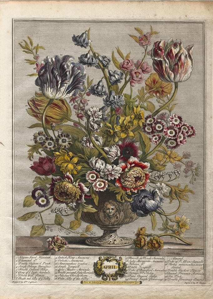Vintage Botanical Print of April Flowers Bouquet
