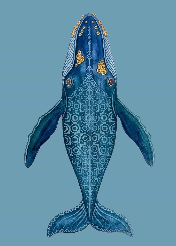 Ornate Patterned Humpback Whale Illustration