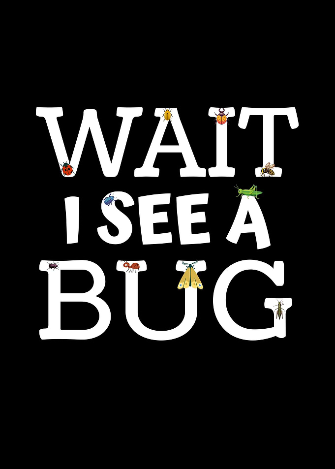 Wait I See A Bug Typography
