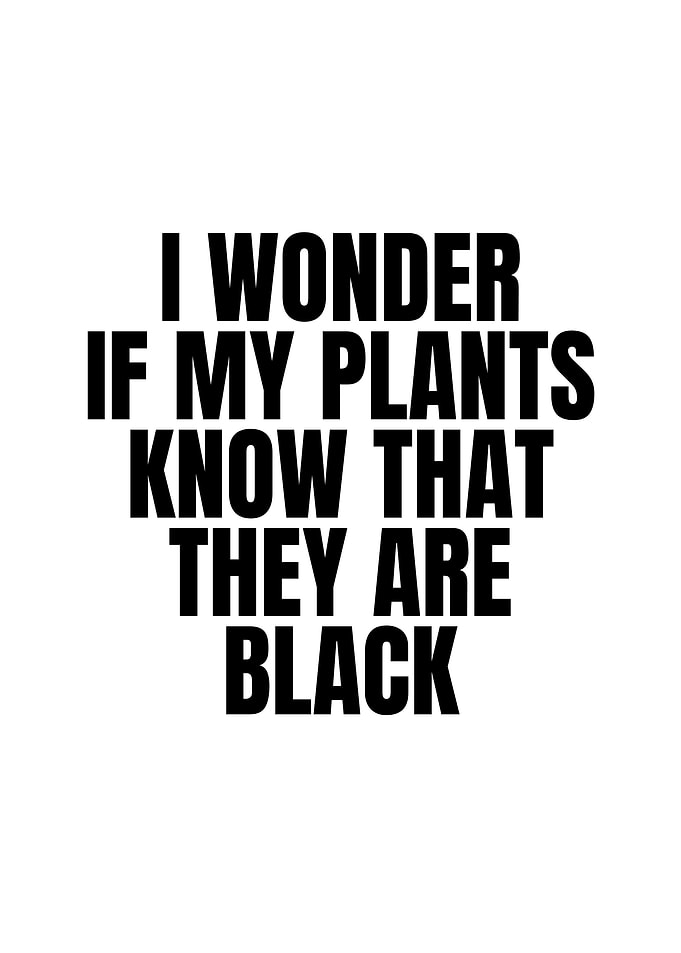 I Wonder If My Plants Know