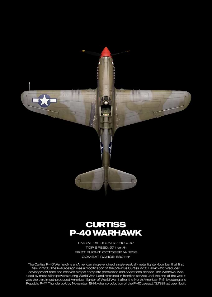 Curtiss P-40 Warhawk Technical Poster