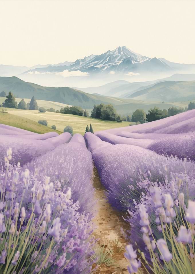 Lavender Field with Mountain View